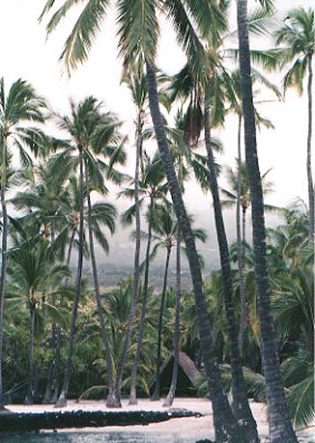 Home Country